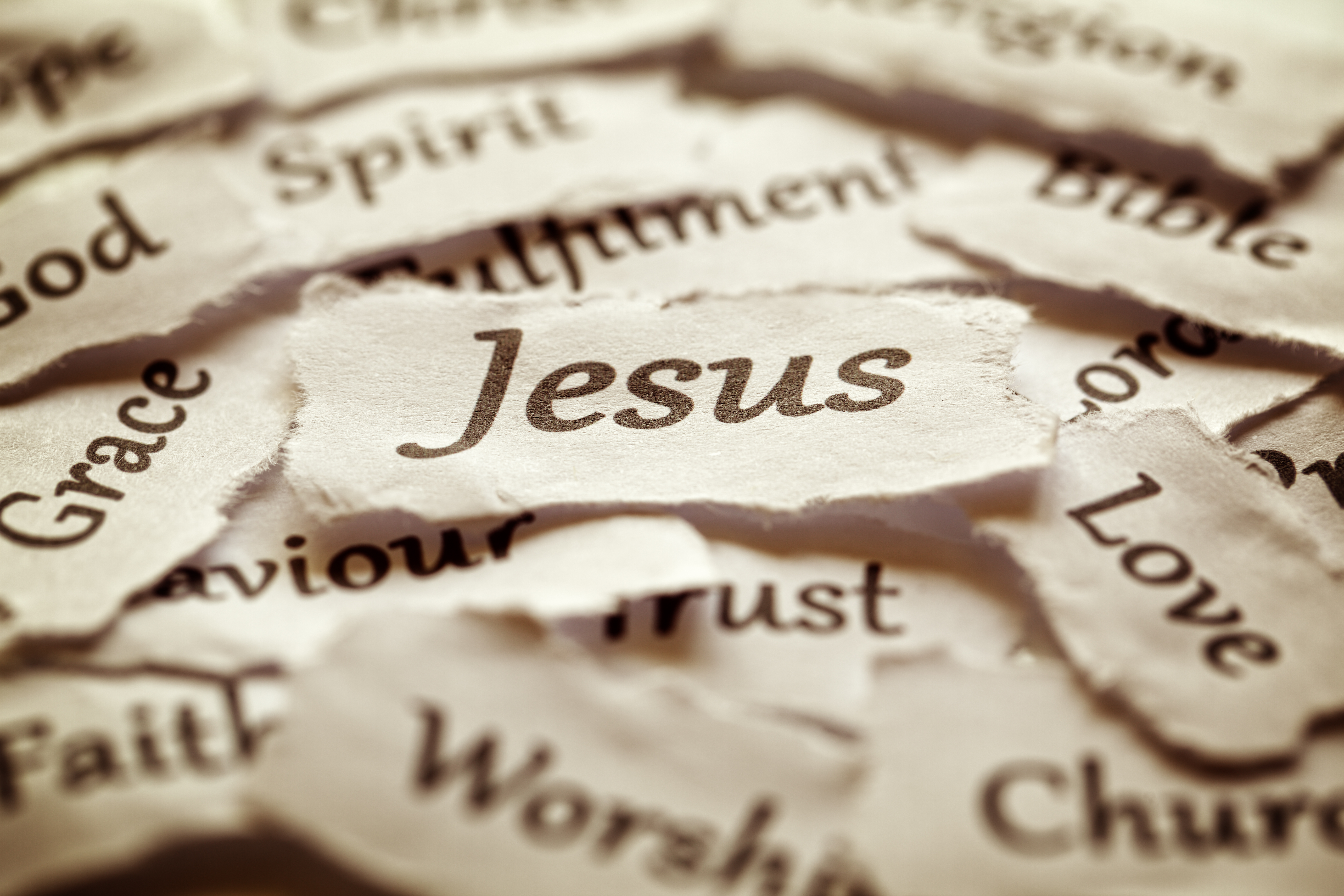 Weekly Bible Study